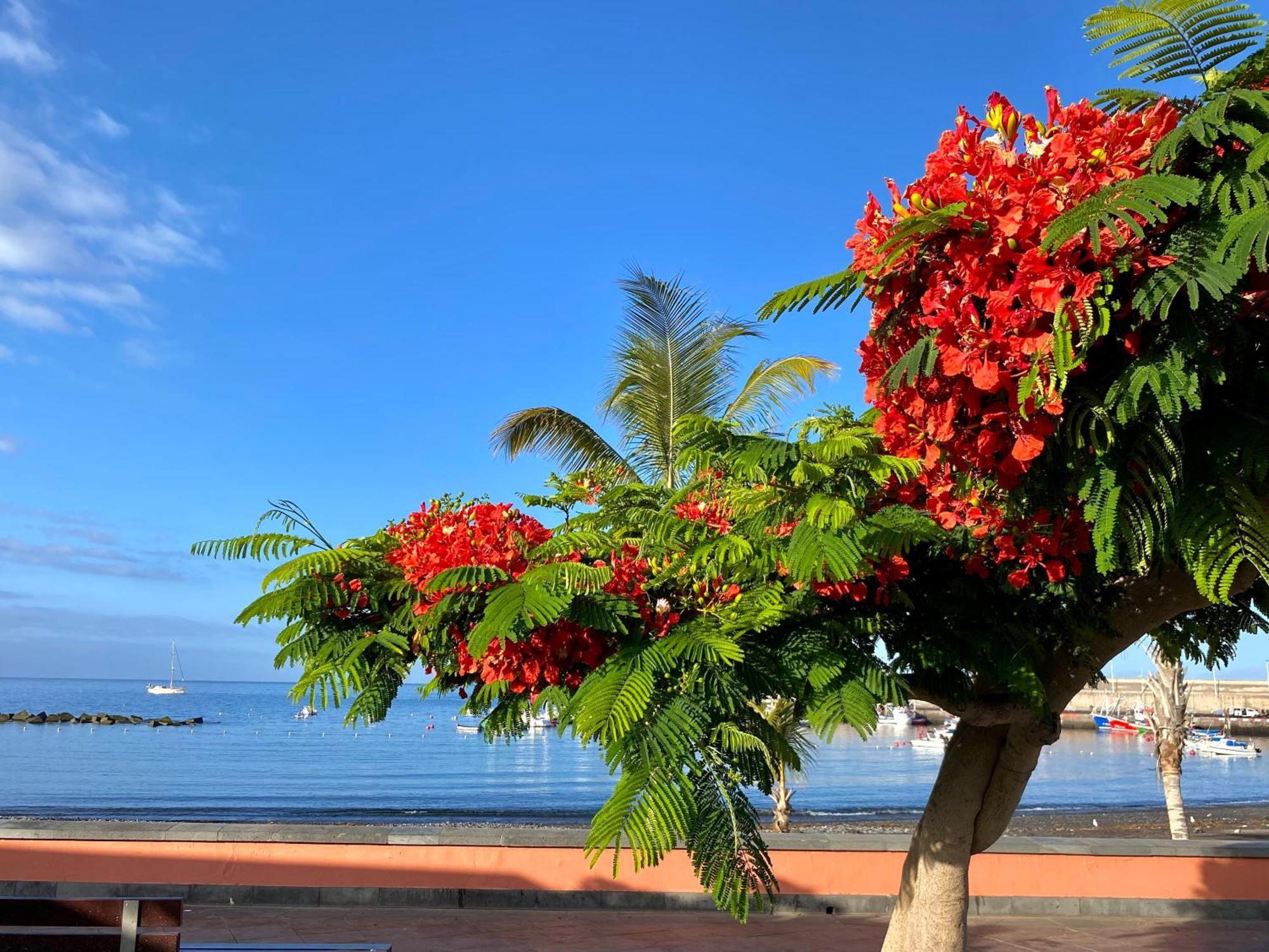 Casa Antonio - Apartamento Orion Playa de San Juan  Luaran gambar