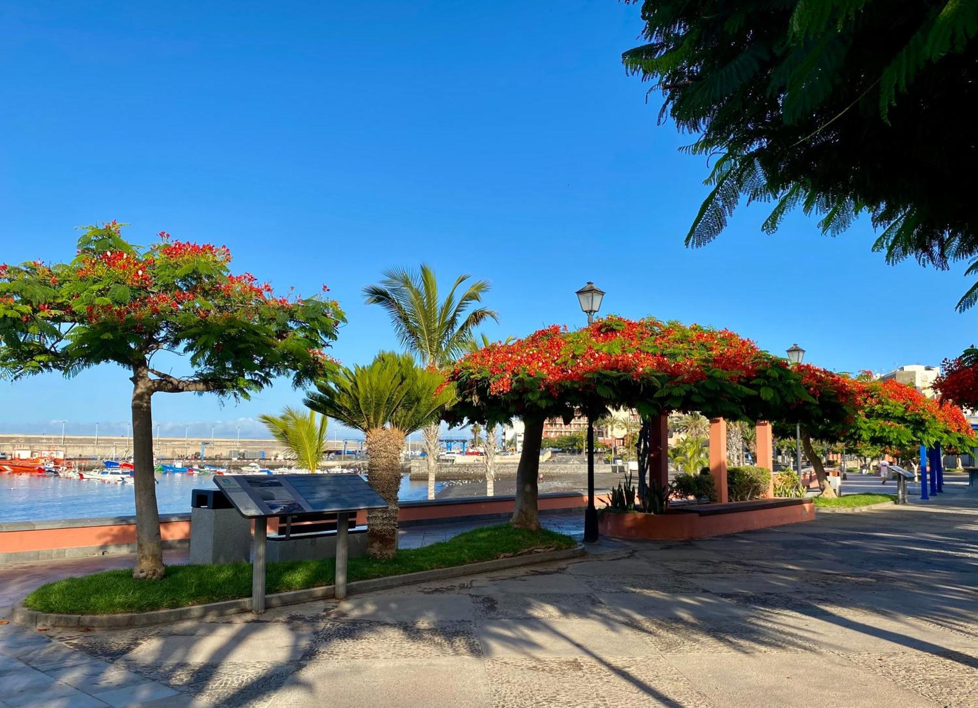 Casa Antonio - Apartamento Orion Playa de San Juan  Luaran gambar